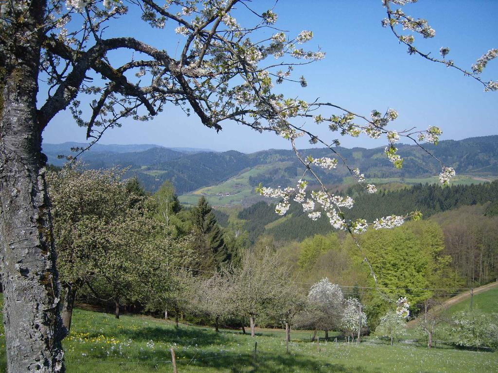 Langenberghof Leilighet Oberharmersbach Eksteriør bilde