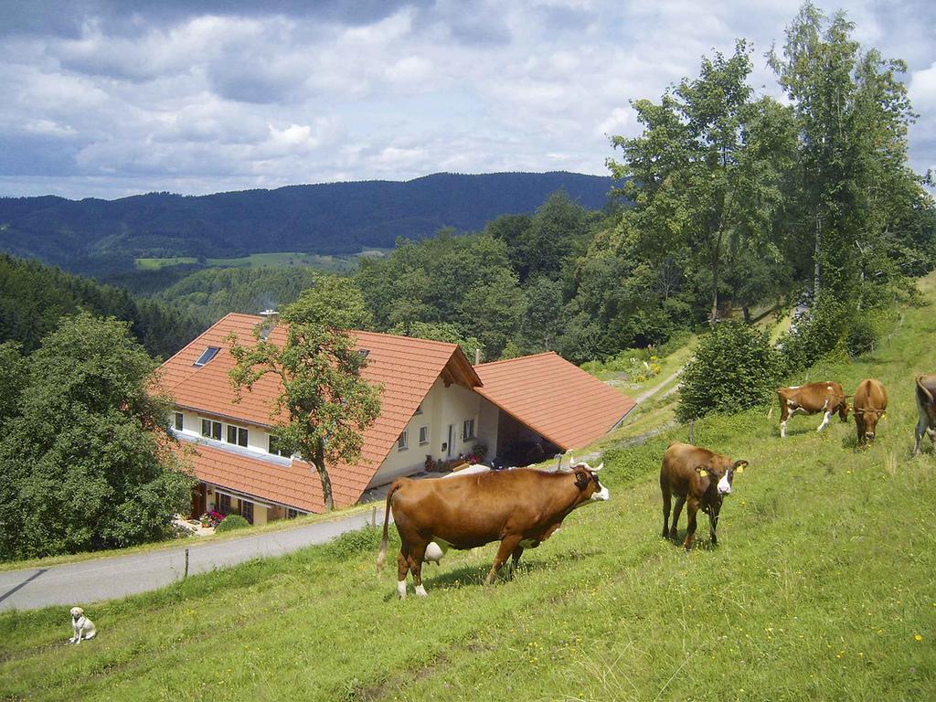 Langenberghof Leilighet Oberharmersbach Eksteriør bilde