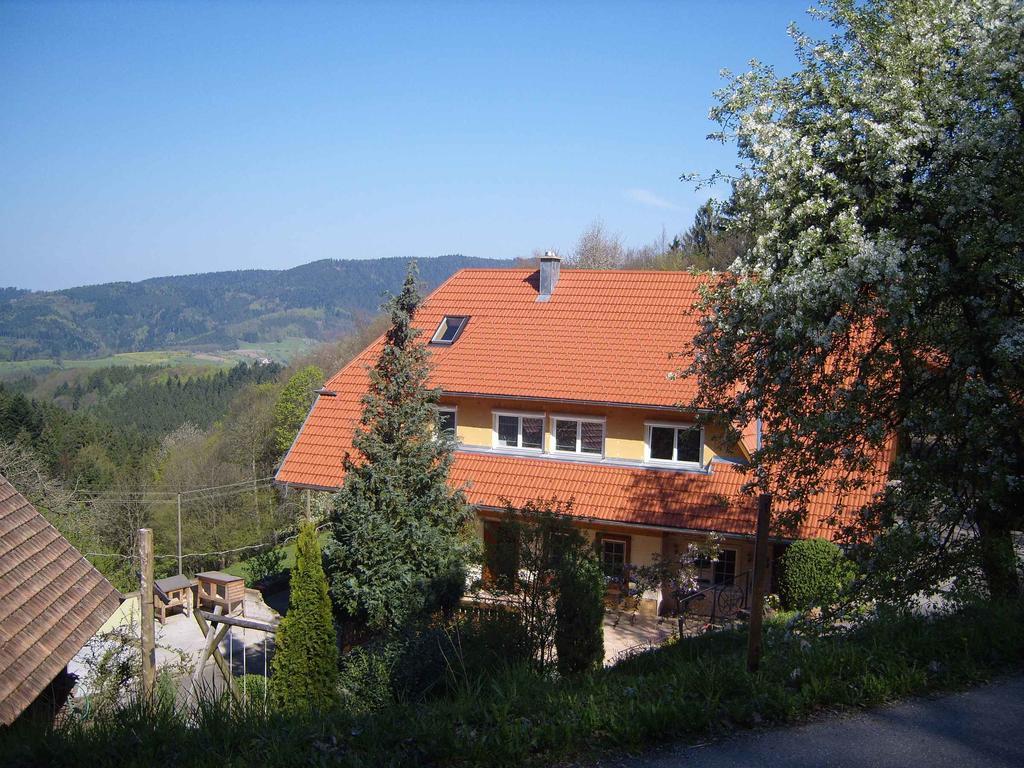 Langenberghof Leilighet Oberharmersbach Eksteriør bilde