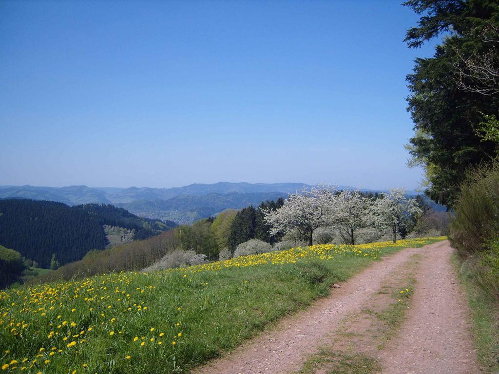 Langenberghof Leilighet Oberharmersbach Eksteriør bilde