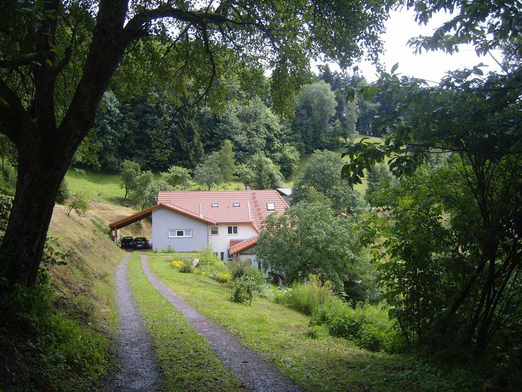 Langenberghof Leilighet Oberharmersbach Eksteriør bilde