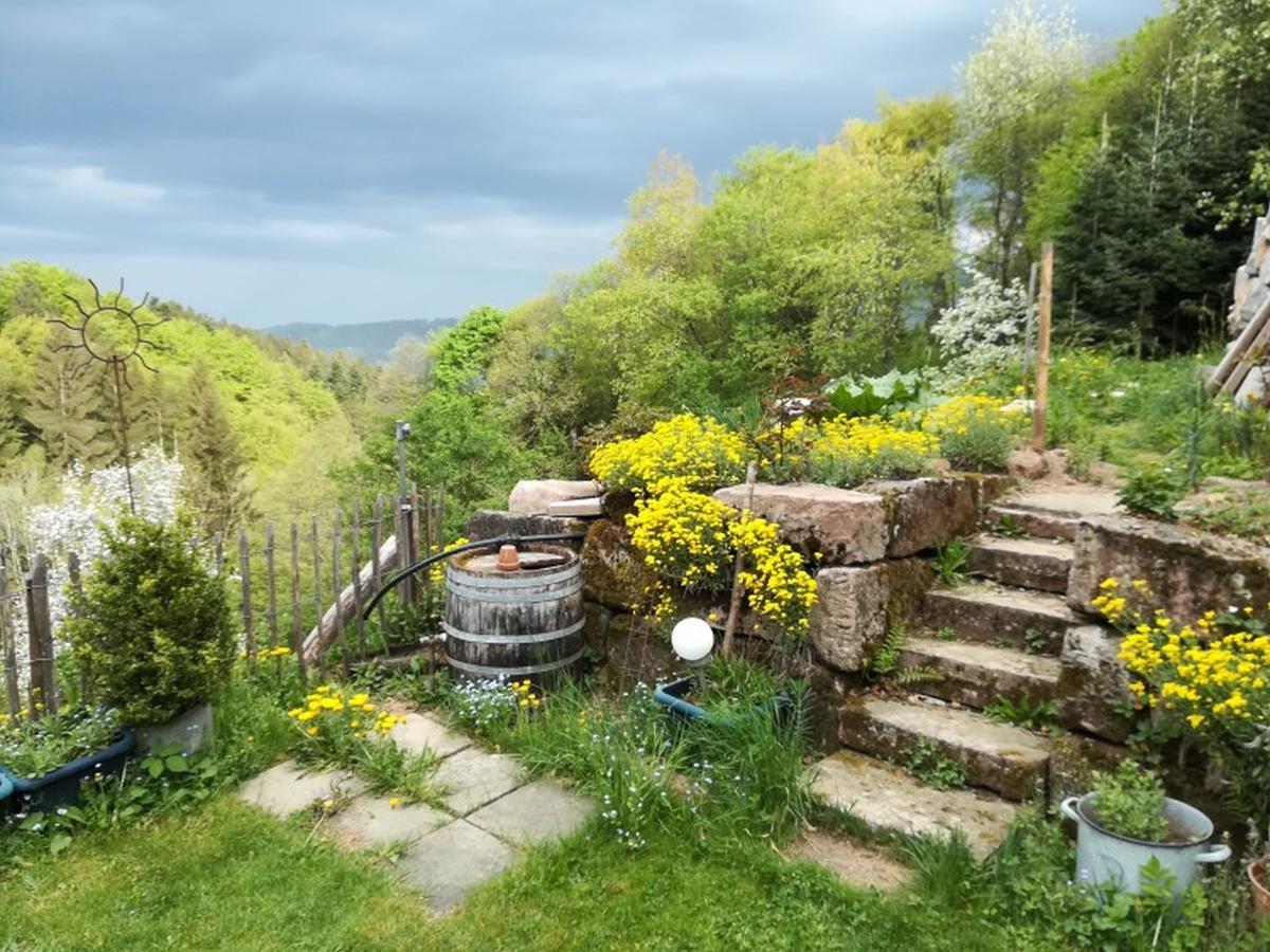 Langenberghof Leilighet Oberharmersbach Eksteriør bilde