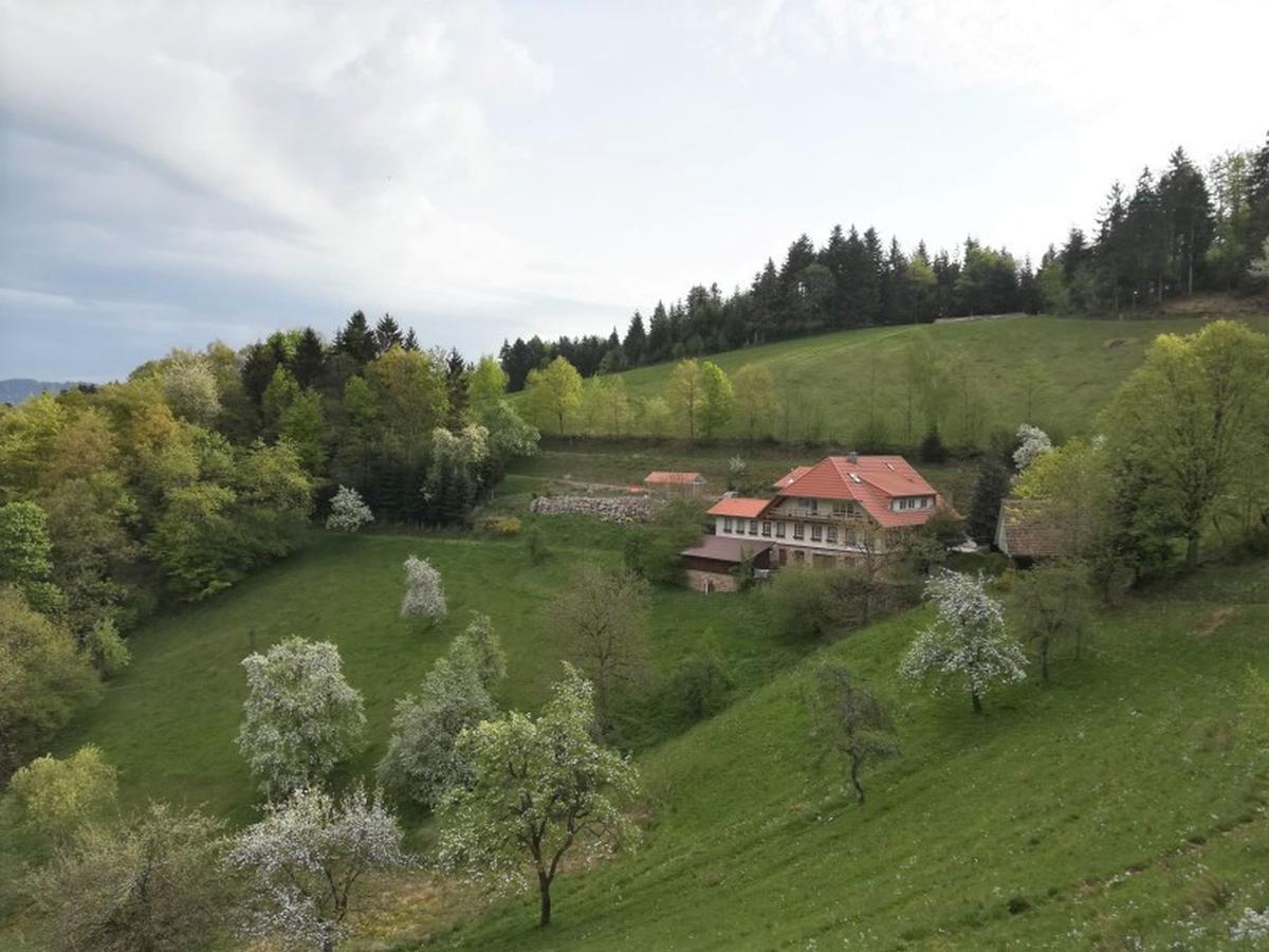 Langenberghof Leilighet Oberharmersbach Eksteriør bilde