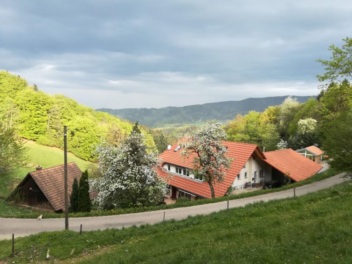 Langenberghof Leilighet Oberharmersbach Eksteriør bilde