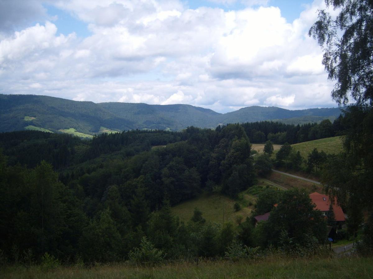 Langenberghof Leilighet Oberharmersbach Eksteriør bilde