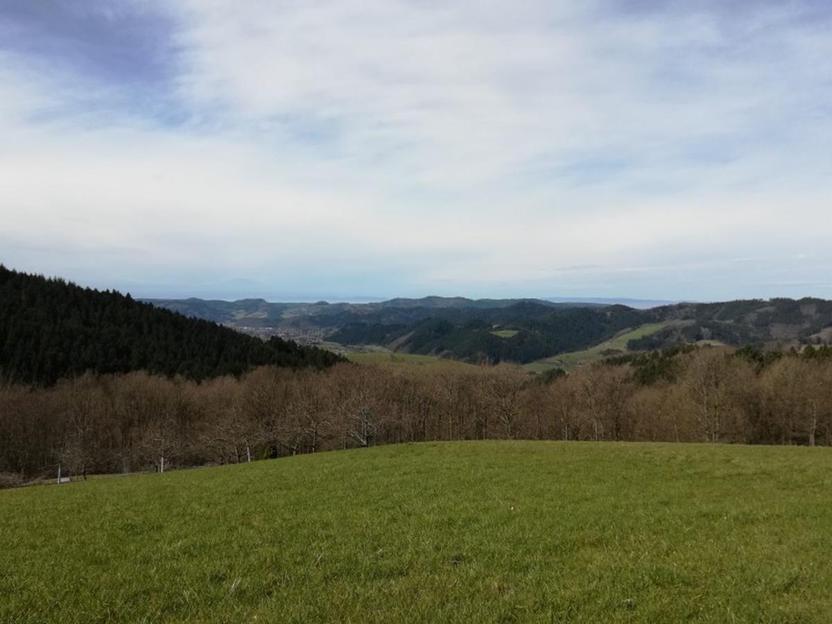 Langenberghof Leilighet Oberharmersbach Eksteriør bilde