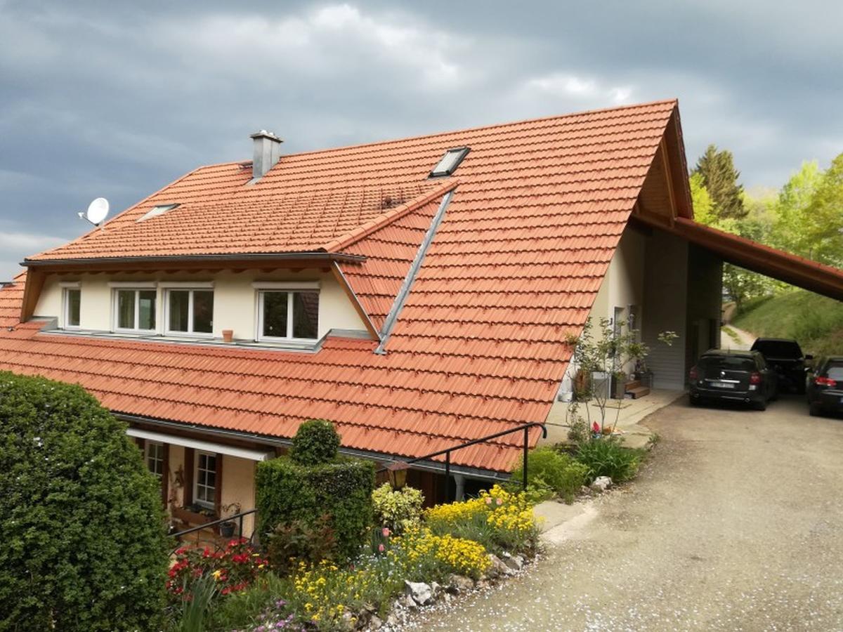 Langenberghof Leilighet Oberharmersbach Eksteriør bilde