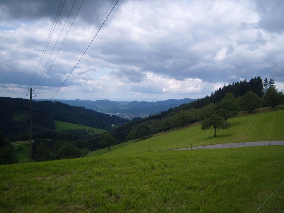 Langenberghof Leilighet Oberharmersbach Eksteriør bilde